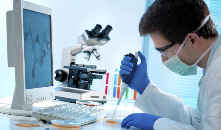 Transferrin Testi