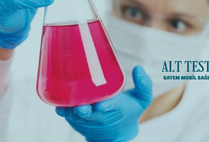 alt testi